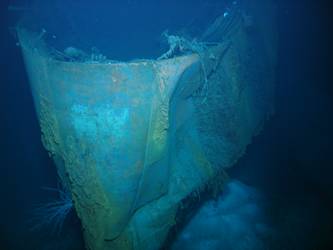 Ship's bent and buckled stern